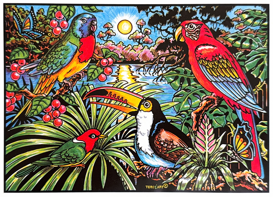 Tropische Vögel G100