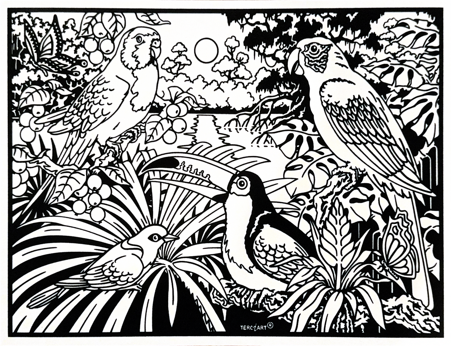 Tropische Vögel G100