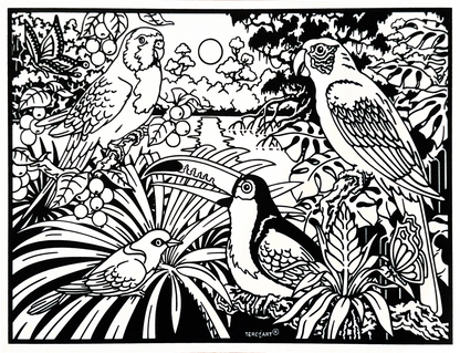 Samtbild Tropische Vögel – zum Ausmalen