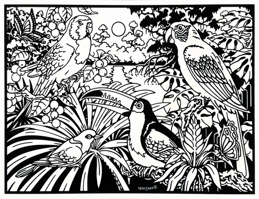 Tropische Vögel G100