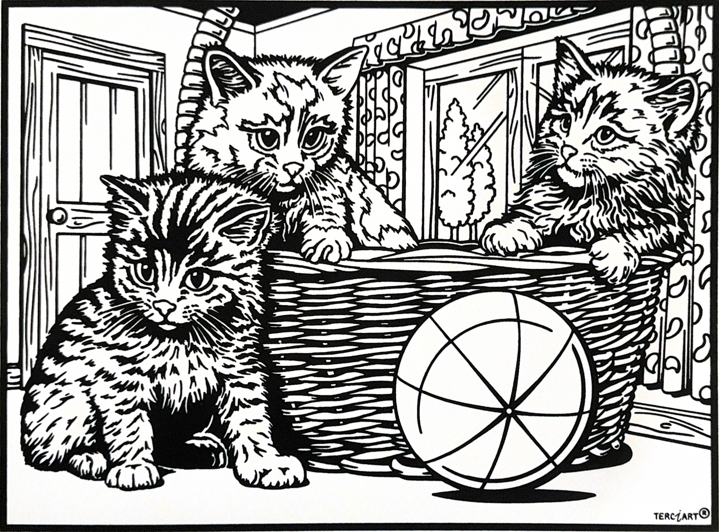 Kitten G134