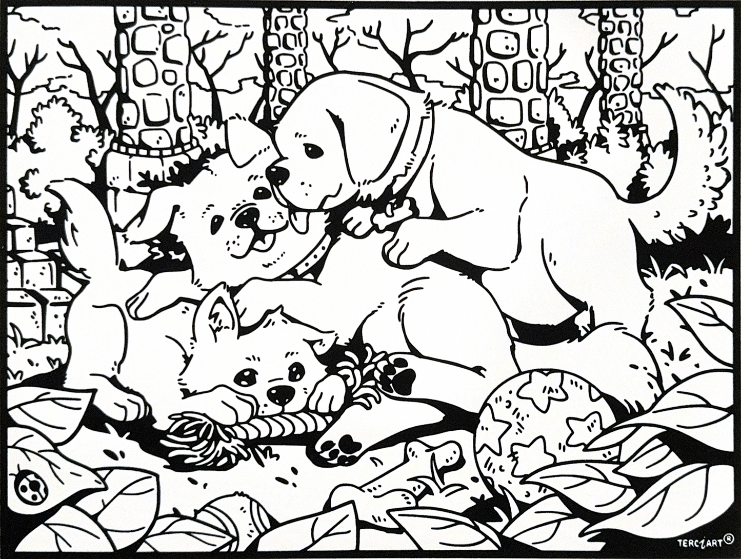 Welpen verspielt G206