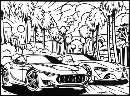 Samtbild Sportauto – zum Ausmalen